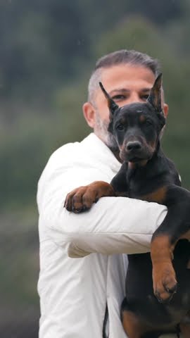 Always best puppies