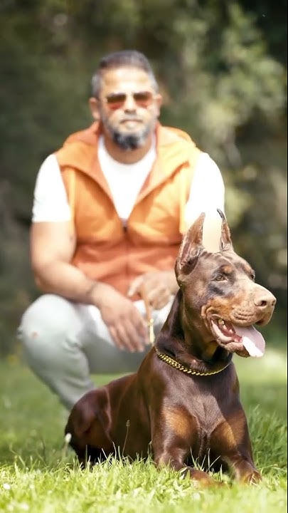 Like father like son Million Ayaz