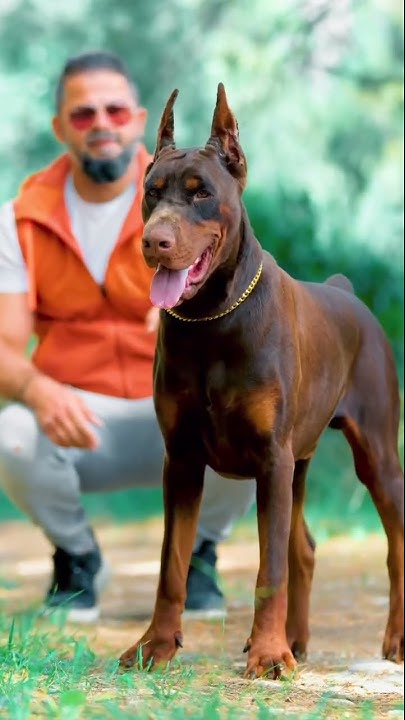 Million Ayaz “Next Level “⚡️SON OF KING HUNTER / BROTHER OF GREAT ONE AYAZ