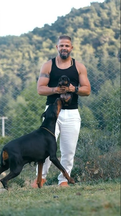 Momma – Erdem Ayaz Kennel – Doberman