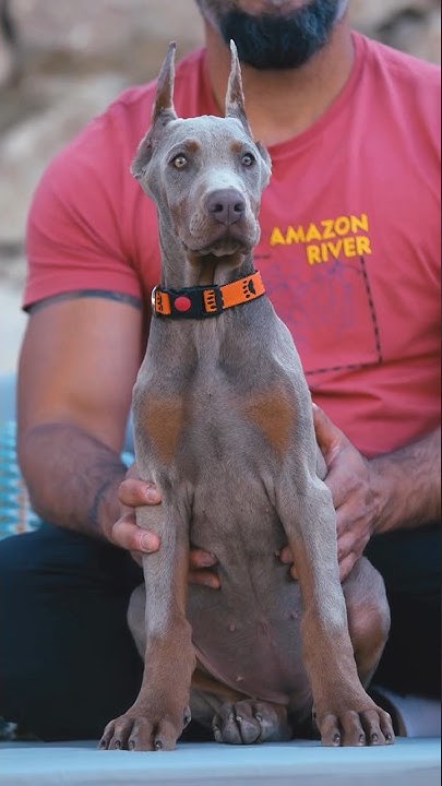 Name suggestions for this girl ? 
