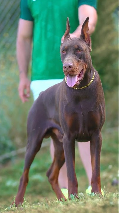 One Ayaz / He is going to be bigger and stronger 