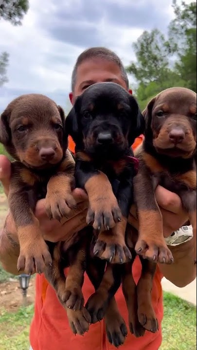 Which one would take ?LEFT – MIDDLE- RIGHT ? 