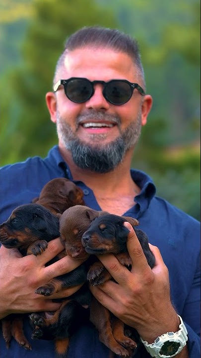 Happiness – Million Ayaz Puppies