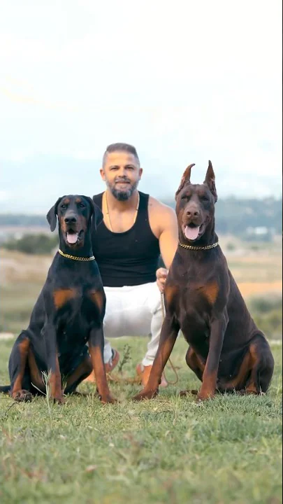 This 2 made something unbelievable